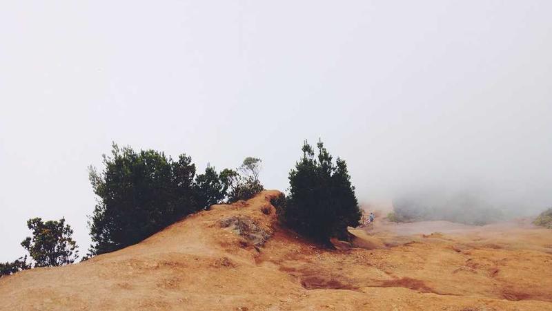 跪求一种常见游戏的名字(非电脑游戏)