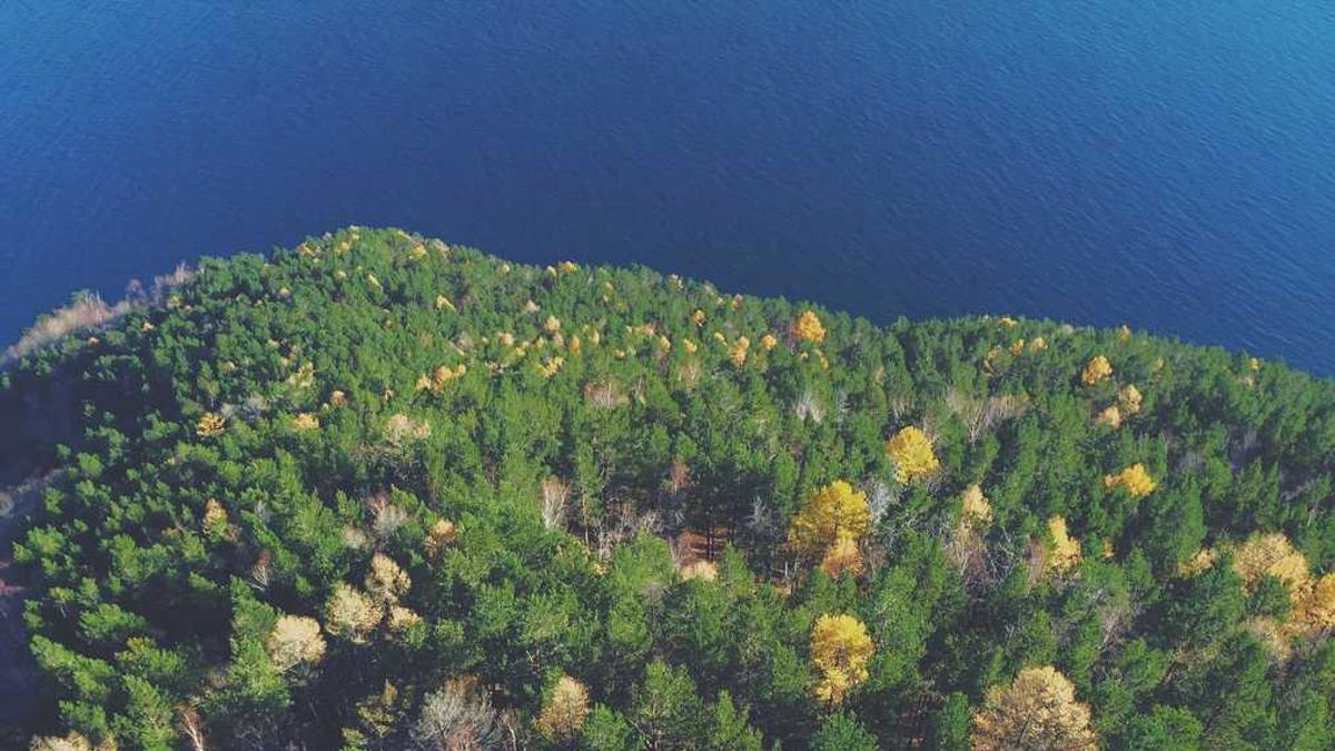 上海公寓房值得买吗