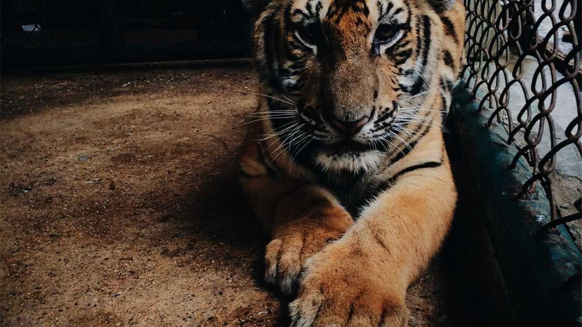 闹大了!男老师强吻女学生,女老师戏男学生聊天记录曝光,毁三观