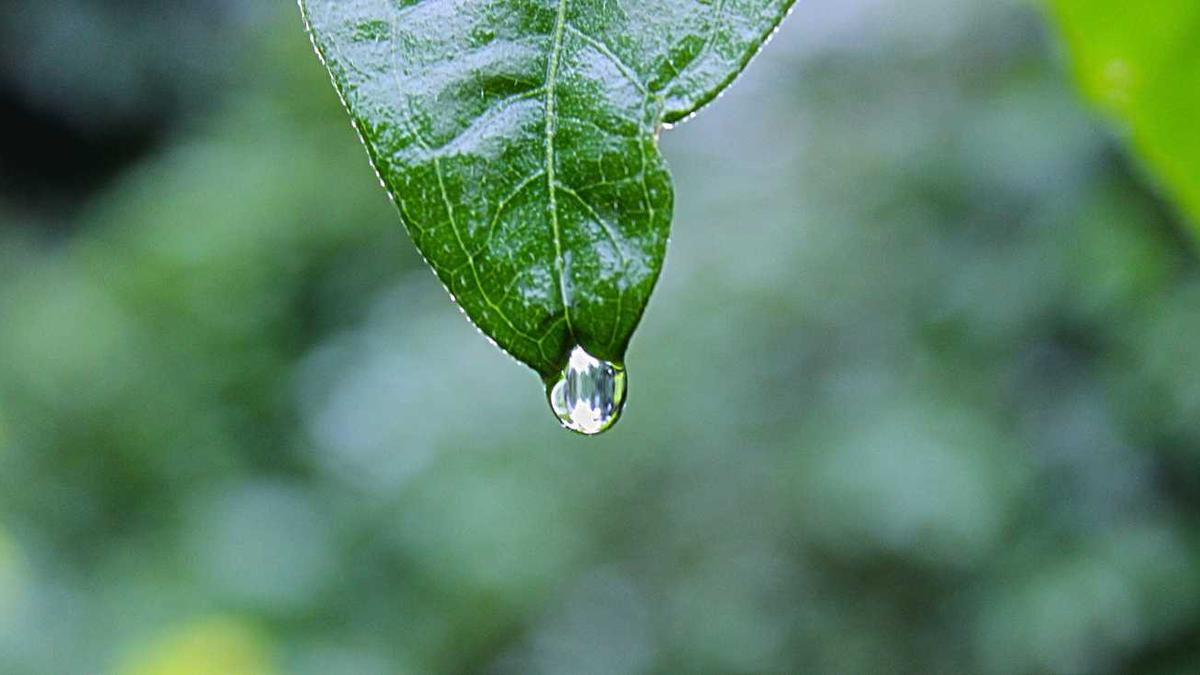 剪映制作手机短视频怎么操作的