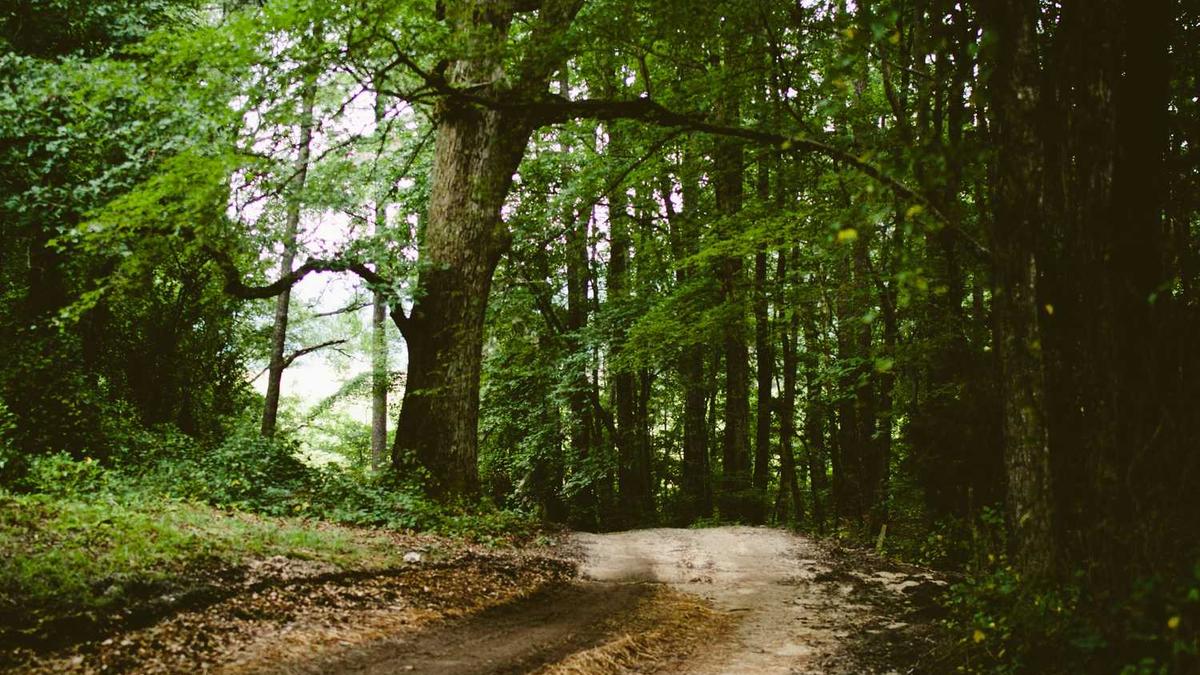 【日常推文】5本病弱受耽美文(已完结)(一)