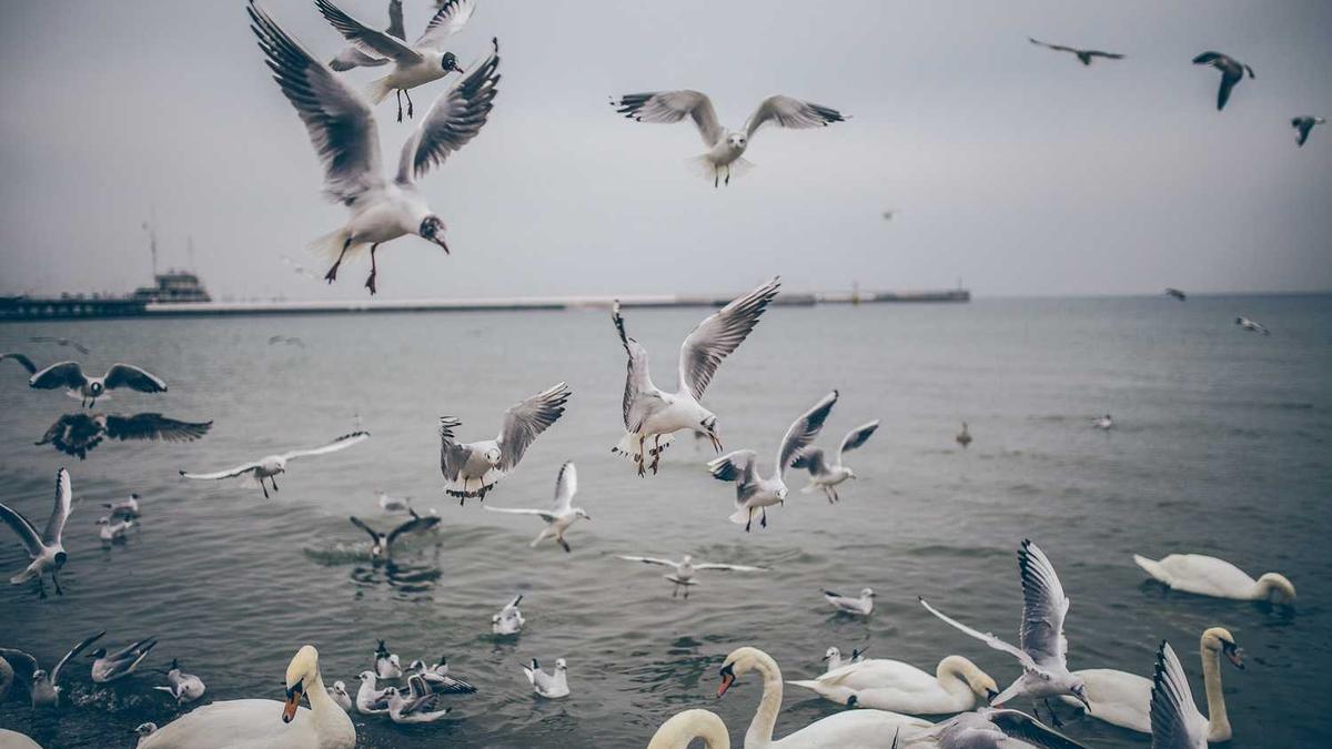 男人找小三会不会影响运气,男人远离小三,运势会改变吗?