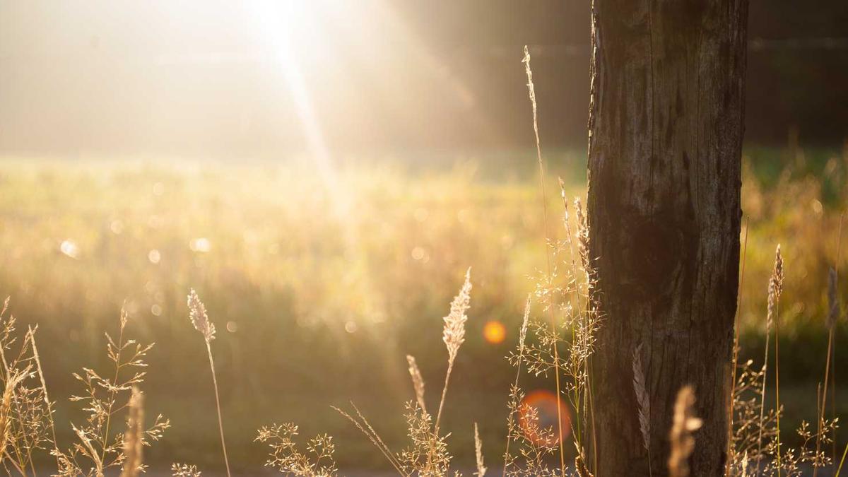 女技师采耳按摩是一种什么样的体验?