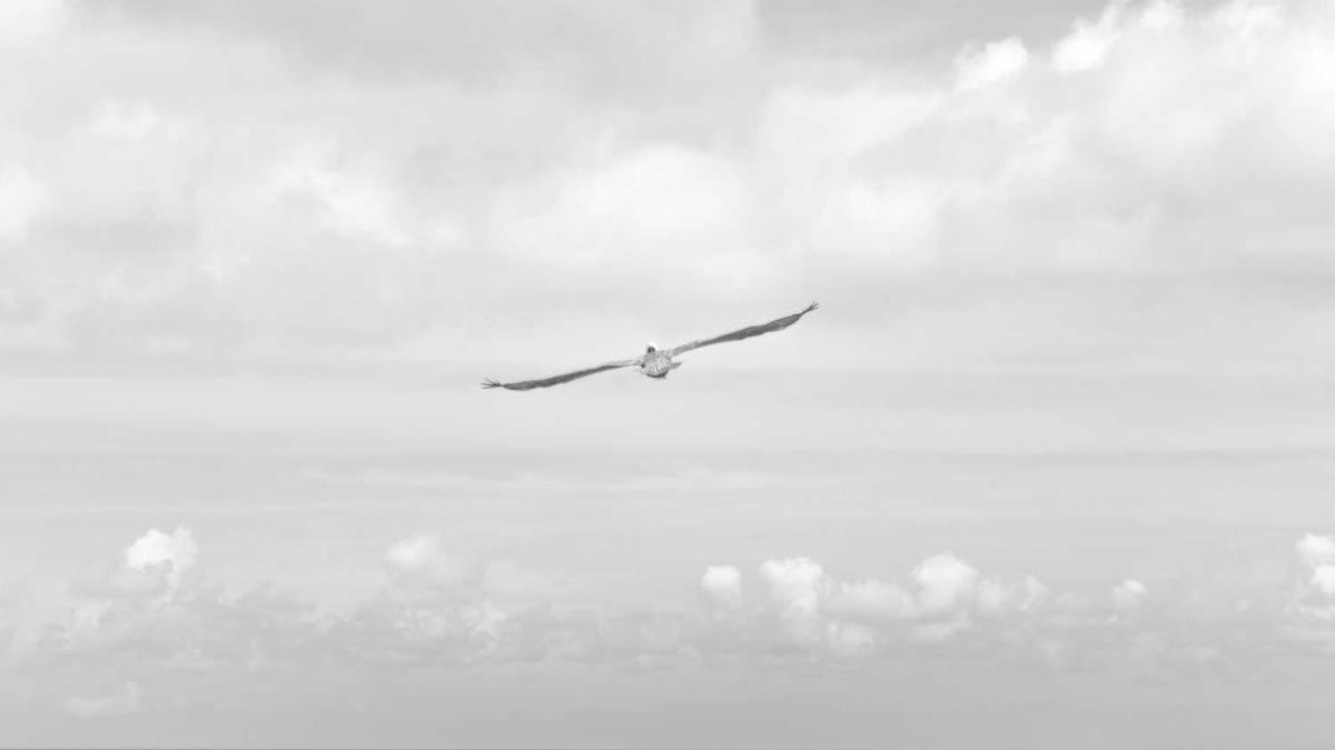 上海女教师性侵高中男生:这是个严肃的话题