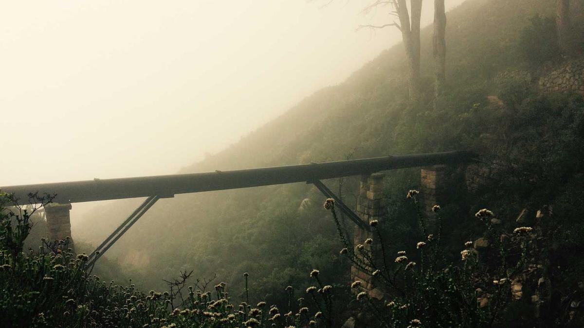 阵地电视剧全部演员表介绍