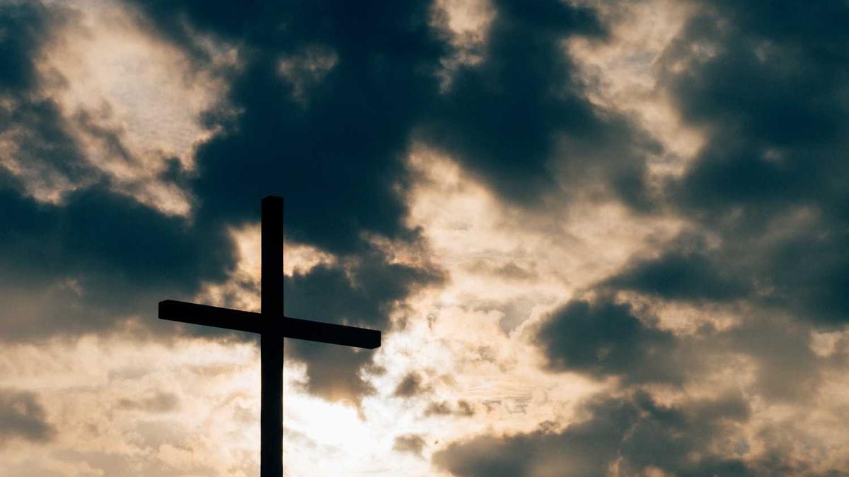 2025第19周:傲无常、踏雪真人、牛笔、百世经纶等51作者新书汇总_百度...