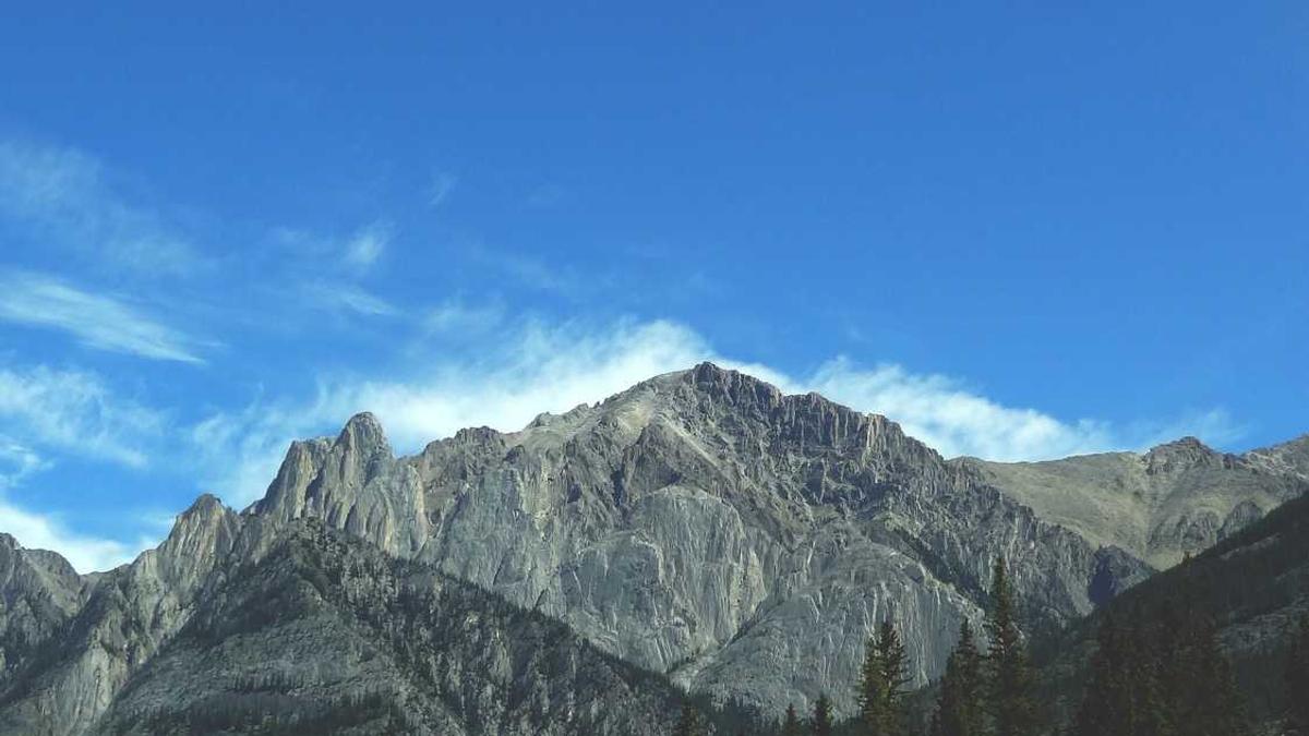 星期三美剧讲的什么