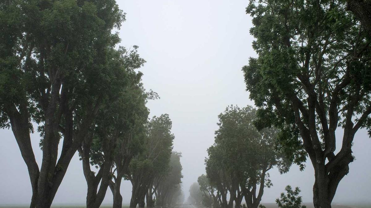 AI自动生成年度工作总结报告-AI写作助手