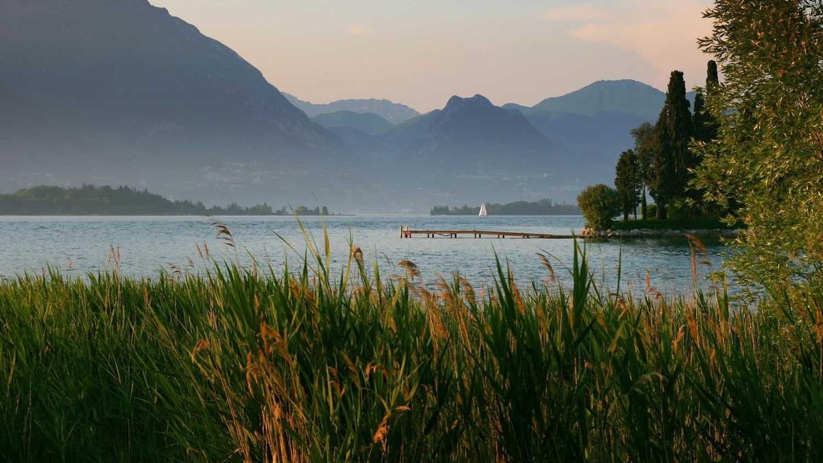 医学教育网和人卫医学网哪个更权威