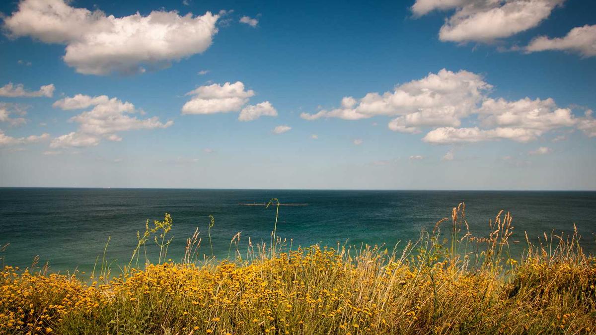 有谁知道一些医学网站 比较靠谱的。