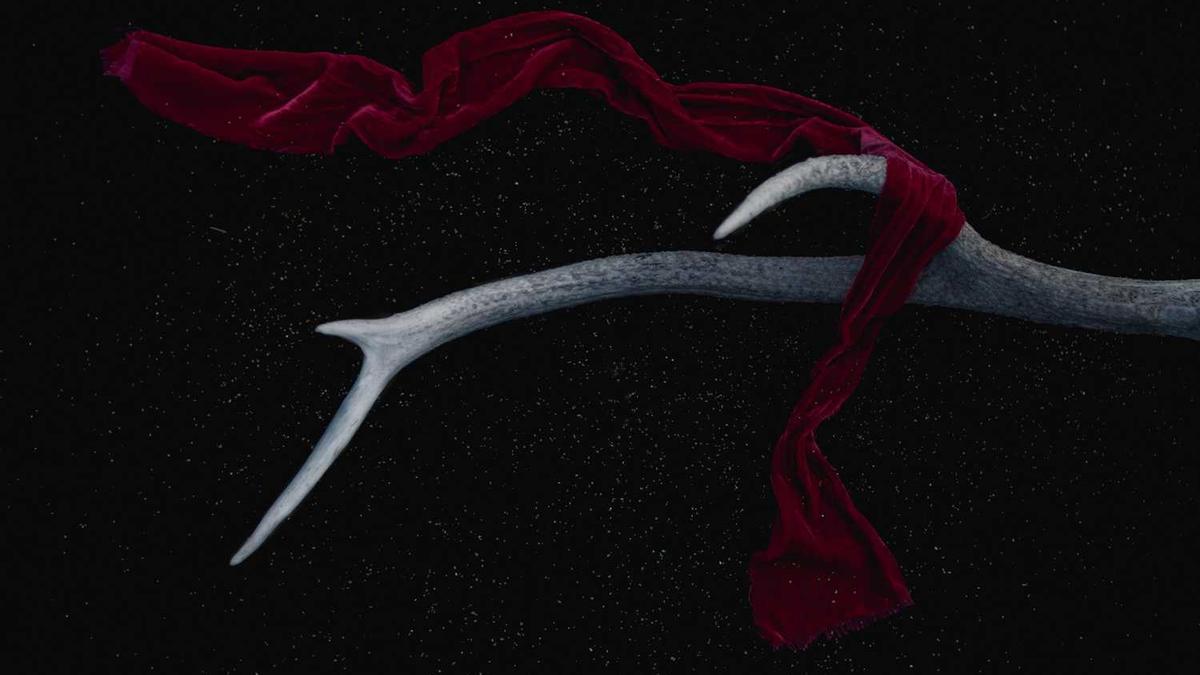 工作单位如何填写?