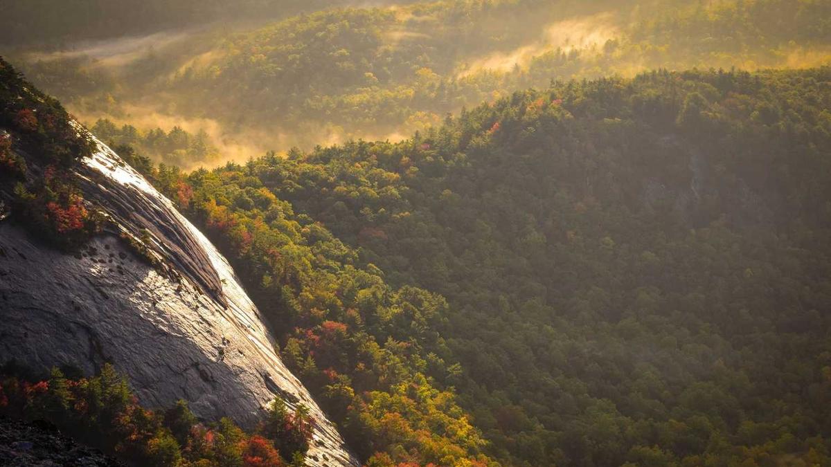 发文要求组织观看的电影