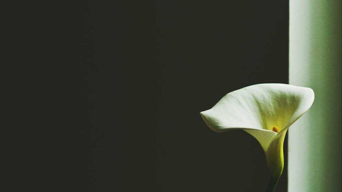 急!关于十一自助游去舟山东极岛