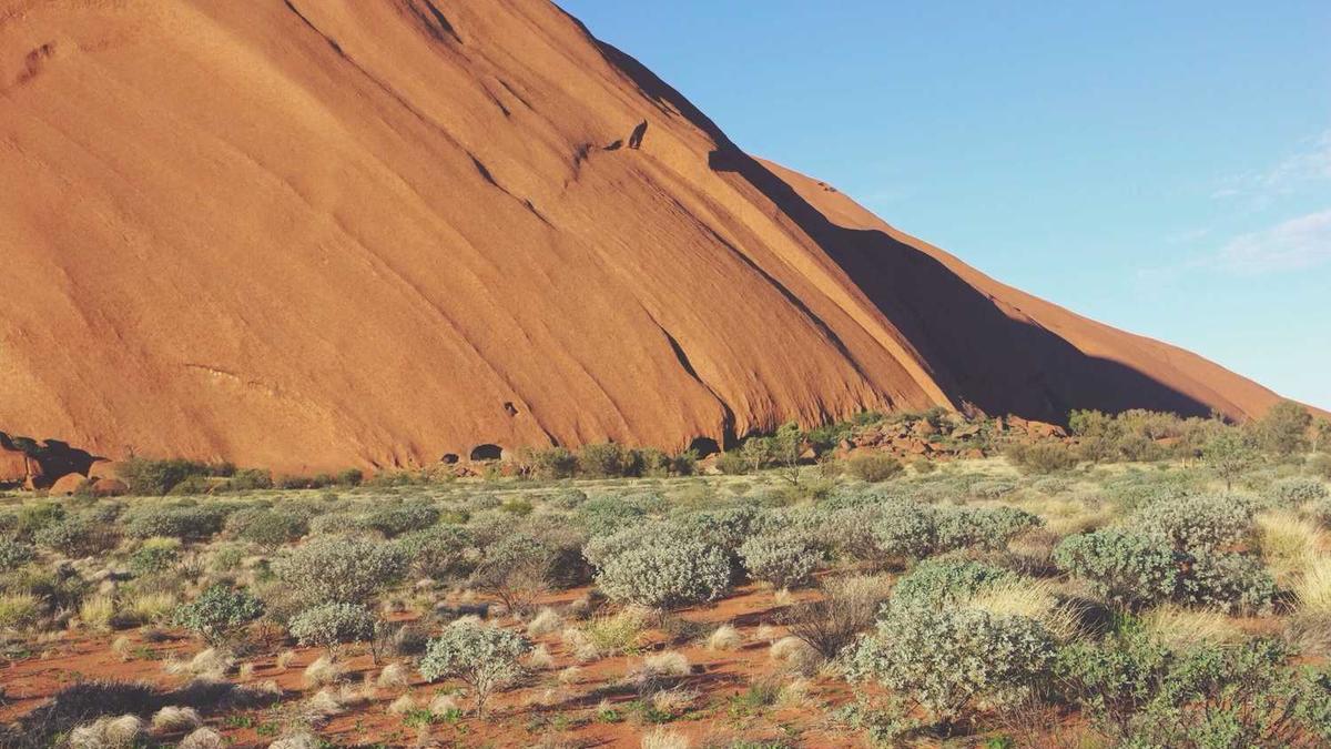 2025年最火电影榜单