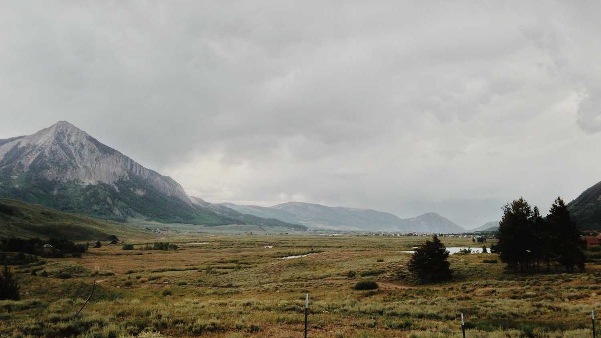 电影《骇客交锋》高清完整版资源哪里有啊??