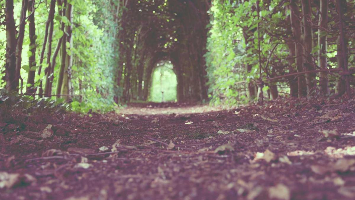 亲身经历上海松江东站有个人才招聘中心,我不知道它是不是骗子我没继续...