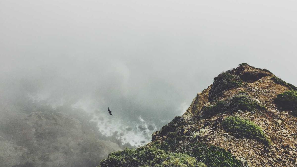 老师体罚学生怎么举报?