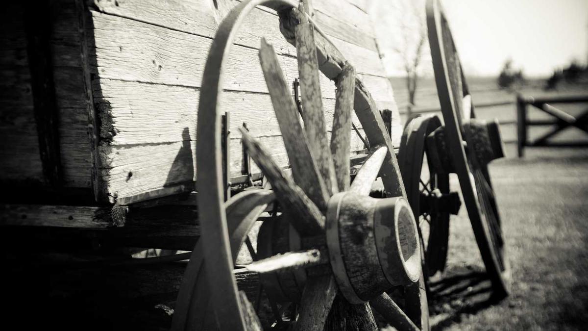 698这个价格在柔式spa里代表着什么隐晦意思