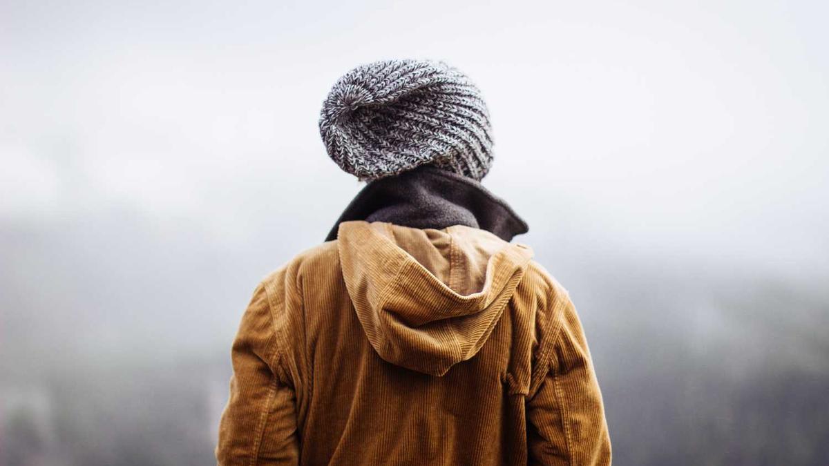 宠物美容学徒有出路吗