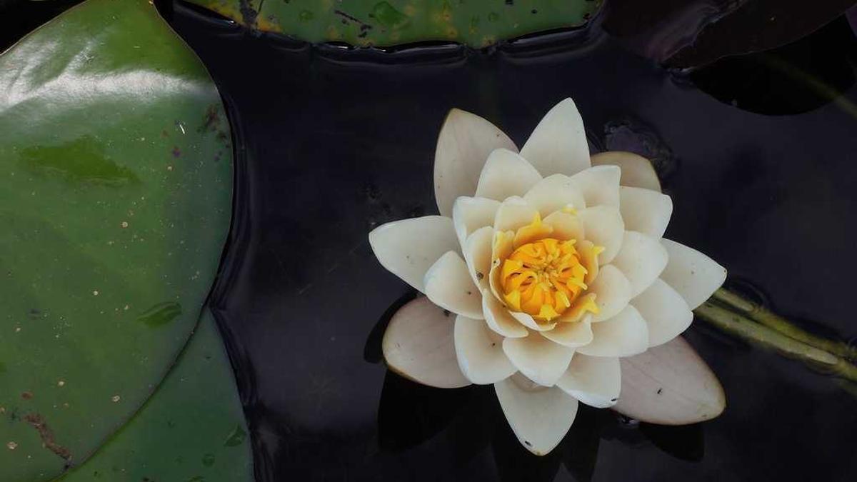 公寓真实价格是多少