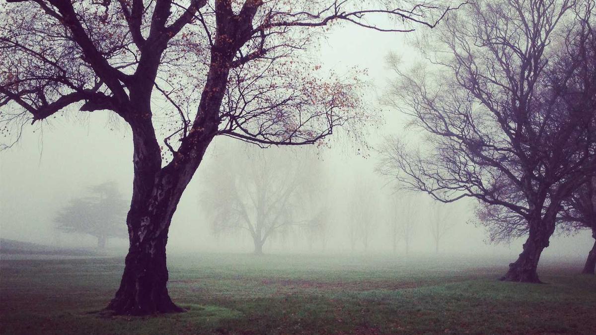 想找聊天约会软件,靠谱的有哪些?