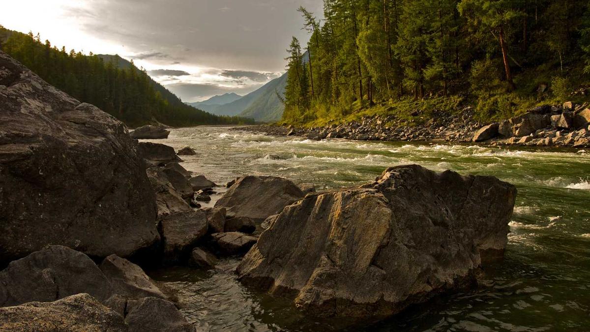 木桶浴的流程是什么?