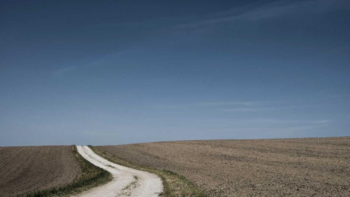 爱茶人朋友圈的高级文案|记得收藏起来