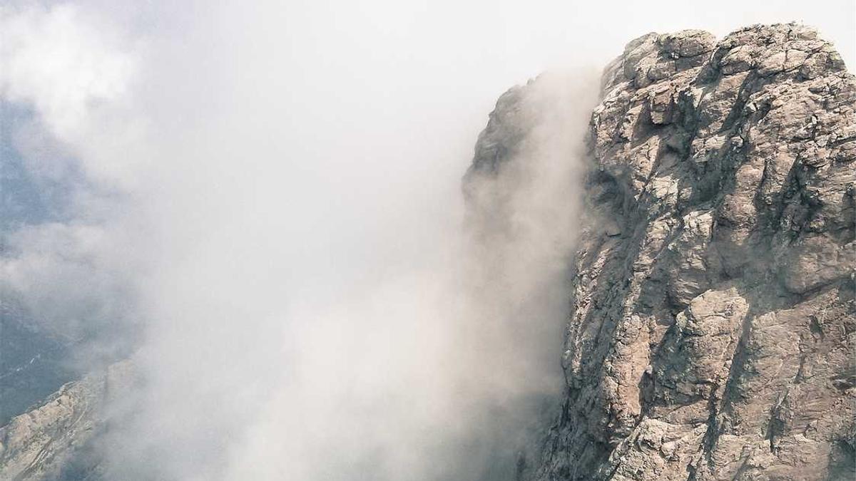 上海租房有什么网站好