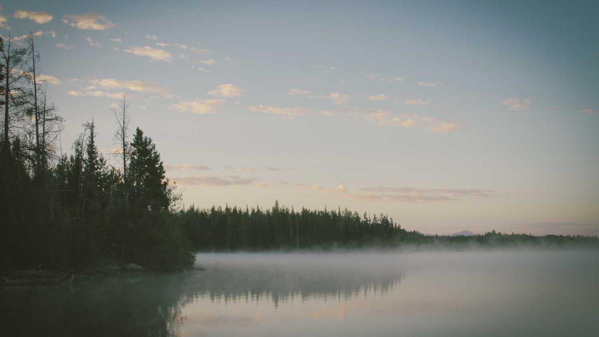 上海内中环的房价是多少钱一平米