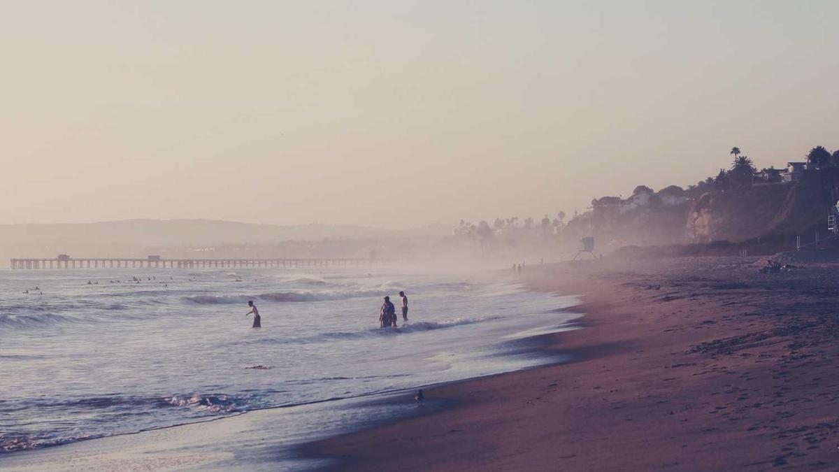 喝什么茶安神助眠最好