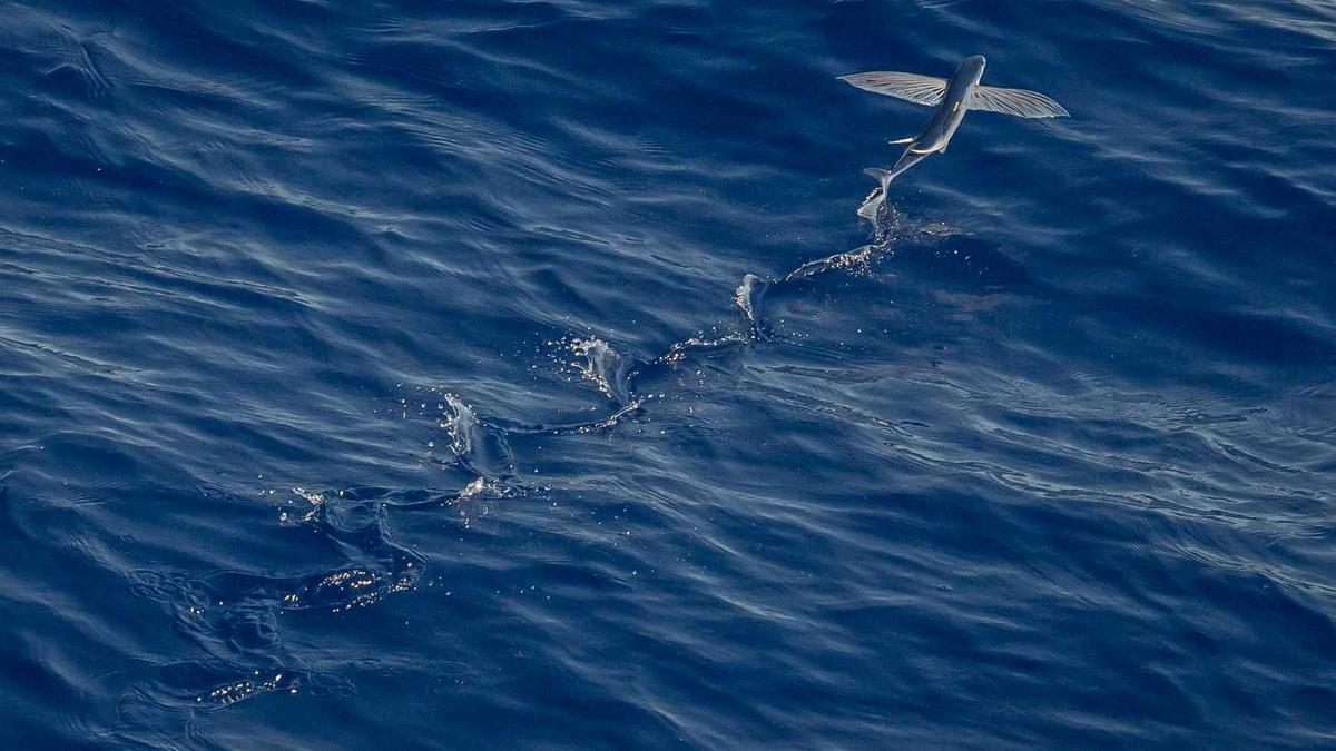 安徽一高校老师杀害女学生被判死刑,该案件有哪些值得关注的信息?_百度...