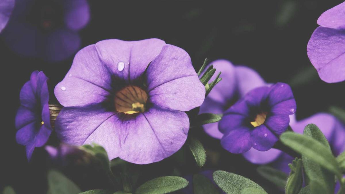 短视频素材哪里有,免费的素材网站有哪些