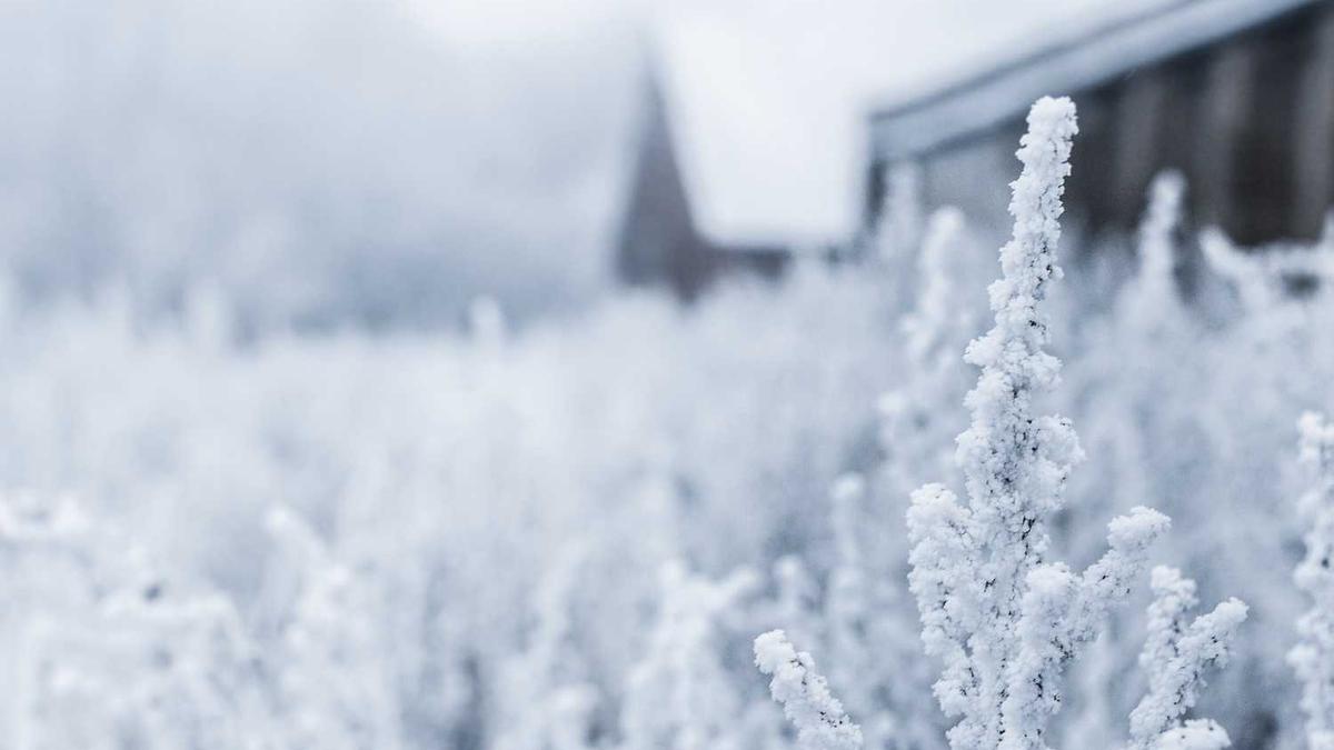要几张图片,生活照片,现拍的,拍什么都行,电脑,电视,墙,大树,地,桌子...