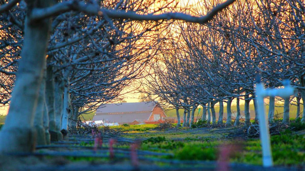 上海荣泰按摩椅怎么样荣泰按摩椅价格