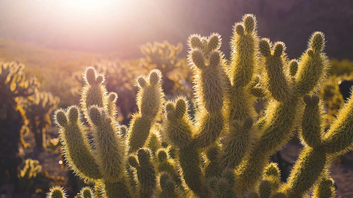 工作的英语单词是什么