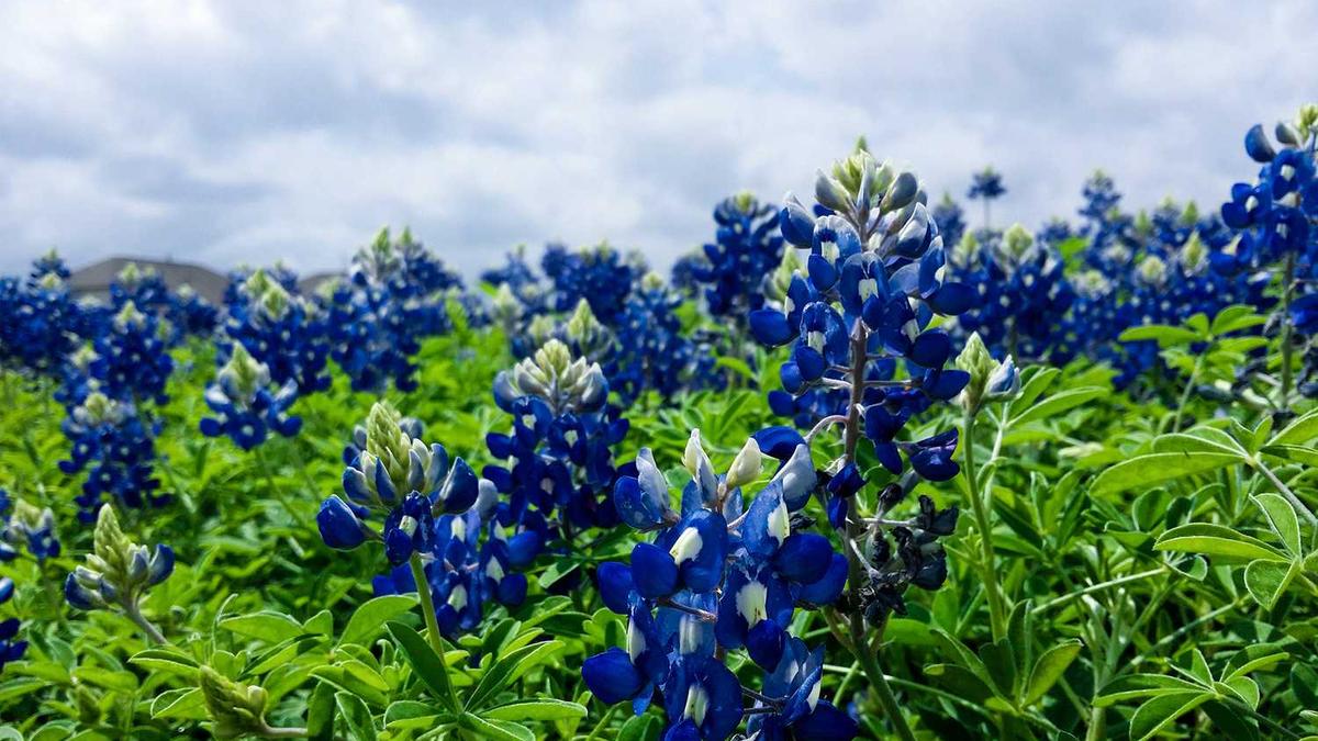 卧室阴面和阳面有什么区别