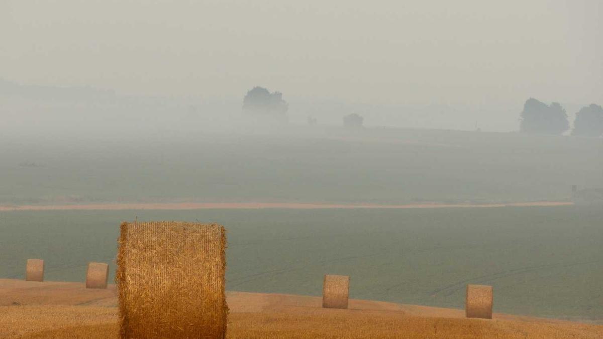 靠谱的天气预报系统公司有哪些？