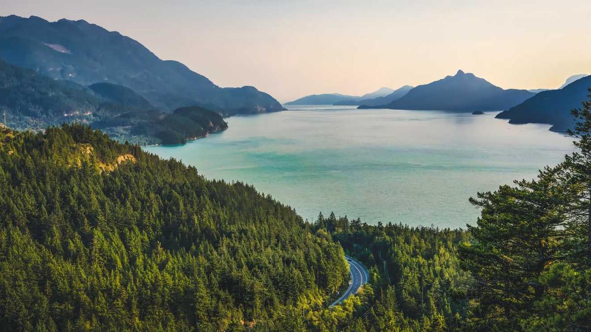 至尊宝紫霞仙子高清图动漫抖音,求这张的高清图