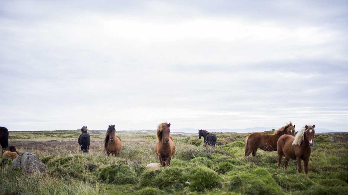 英雄联盟2025全球总决赛赛制规则
