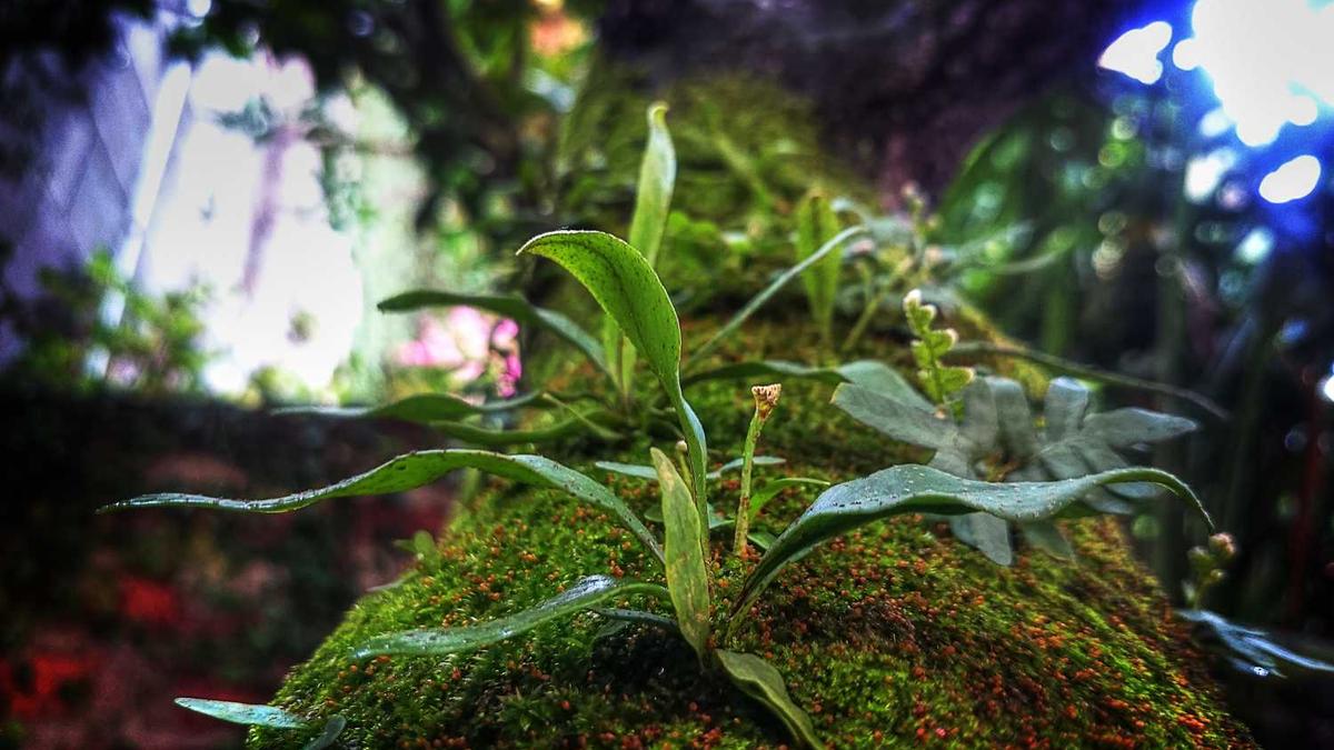 江门下川岛天气,江门下川岛天气预报一周 7天查询