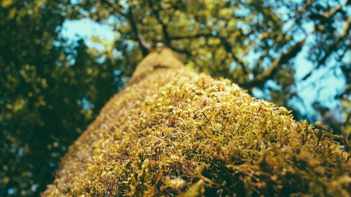 东郊到家平台模式介绍