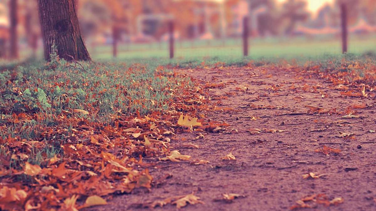 吉林省松原市市辖区