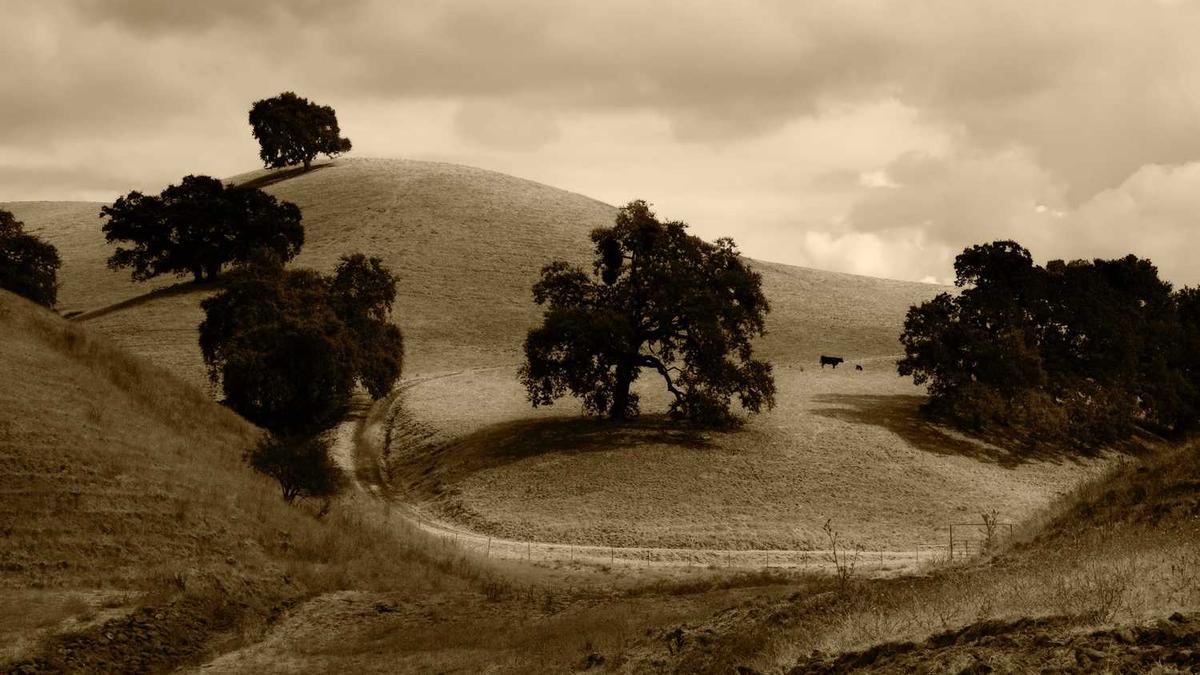 安徽毫州的读音是什么