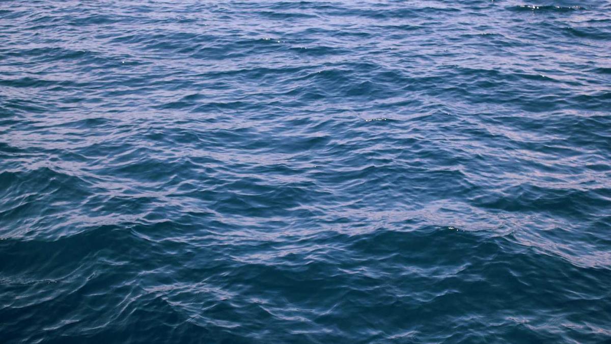 正新鸡排吃死人事件到底真相是什么?