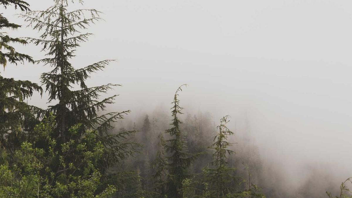 申报通知 | 支持“专精特新”中小企业高质量发展工作