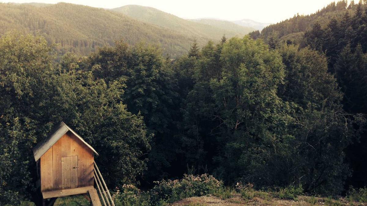 石家庄邮政编码是多少