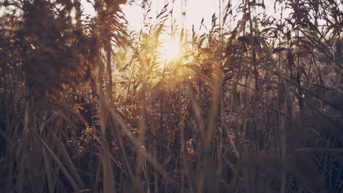 小蓝到家技师怎么加入