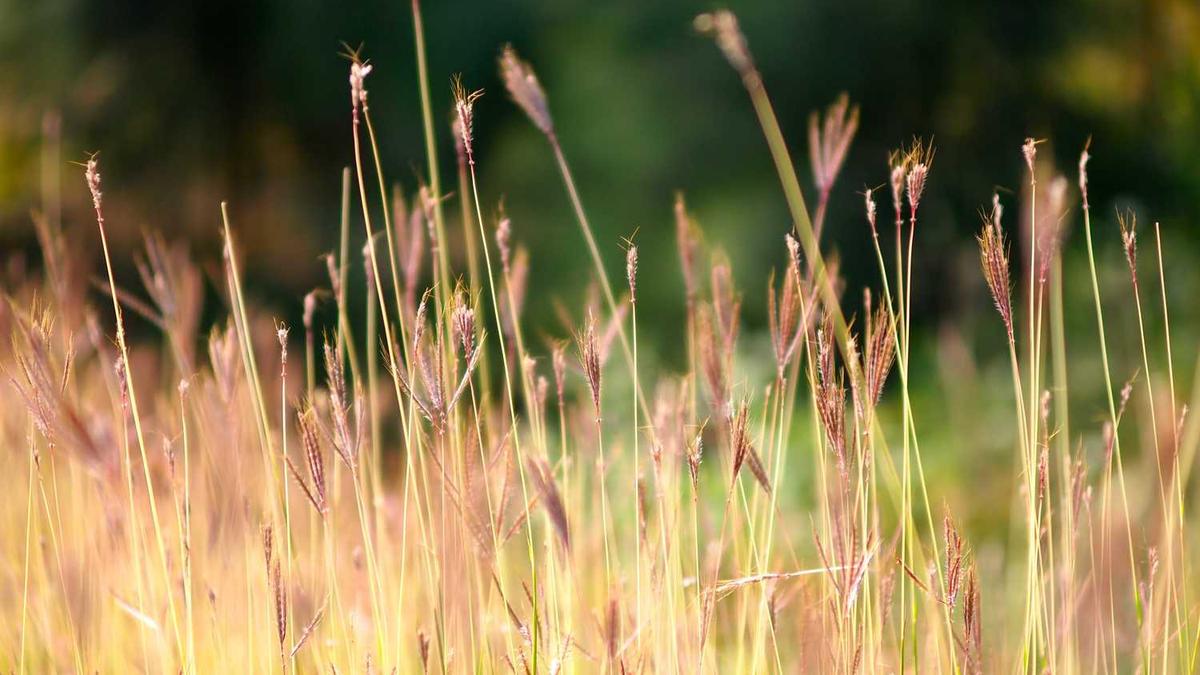 六盘水职业技术学院的环境怎么样