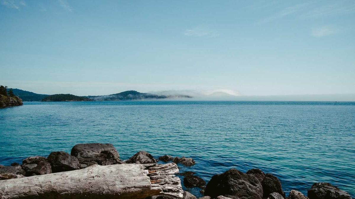 南阳市有哪些汽车是零首付4 s店?