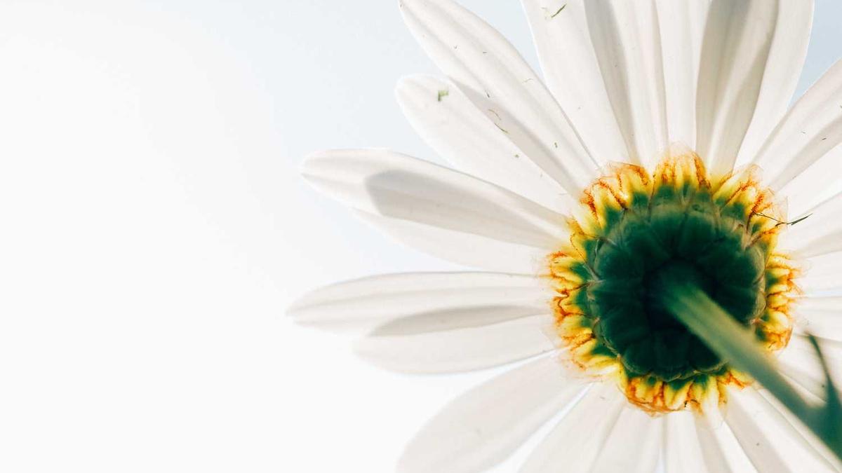 在石家庄邮电职业技术学院生活多少生活费合适